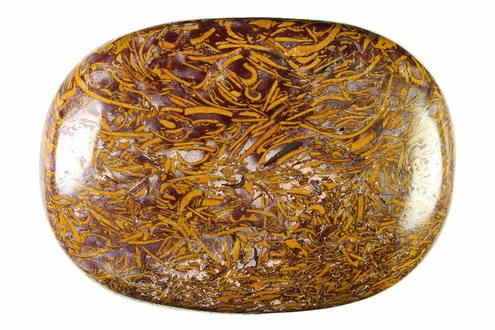 Polished Miriam Stone Palm Stone - India #342289